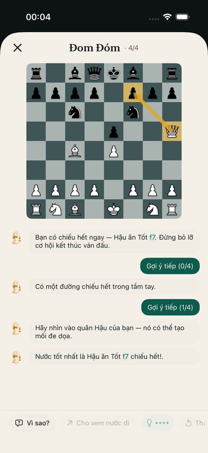 The coach in Chess Coach Kingdom